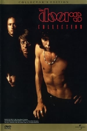Poster The Doors: Collection (1999)