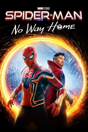 Spider-Man: No Way Home (2021) 1080p | 720p | 480p [ORG Hindi-English] BluRay x264 AAC Esubs