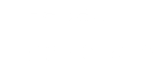 С небес на землю — Logos 1