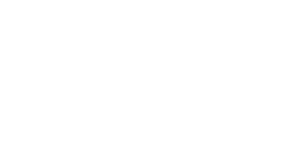 Turtles Can Fly — Logos 5