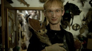 Taxidermia