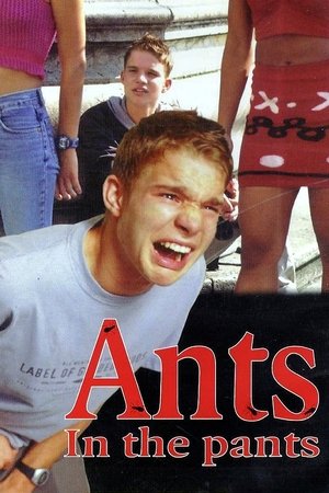 Image Ants in the Pants