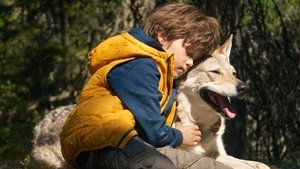 Bruno y el lobo