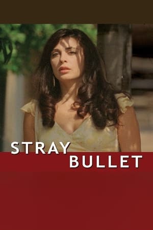 Image Stray Bullet