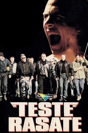 Teste rasate 1993