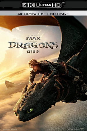 poster How to Train Your Dragon