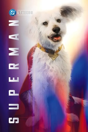 poster Superman