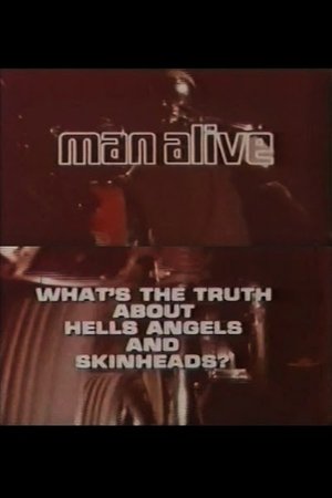 Nonton film What's the Truth About Hells Angels and Skinheads? (1969) terbaru sub indo Nonton film What's the Truth About Hells Angels and Skinheads? (1969) terbaru sub indo