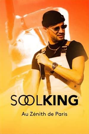 Poster Soolking au Zénith 2023