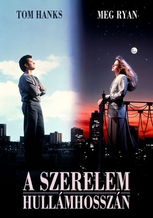 A szerelem hullámhosszán (1993)