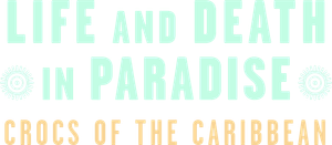 Crocodilos do Caribe — Logos 6