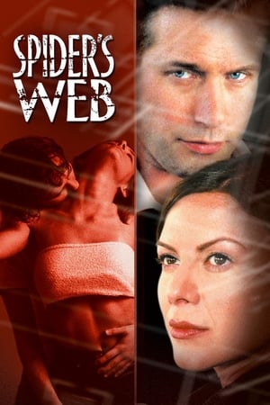 Poster Spider's Web 2002
