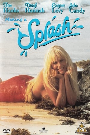 Poster Making a 'Splash' 2004