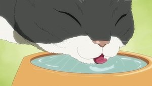 Nyaight of the Living Cat: 1×7