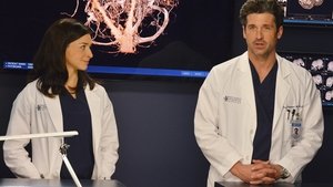 Anatomía de Grey Temporada 10 Capitulo 22