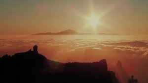 Wild Canary Islands