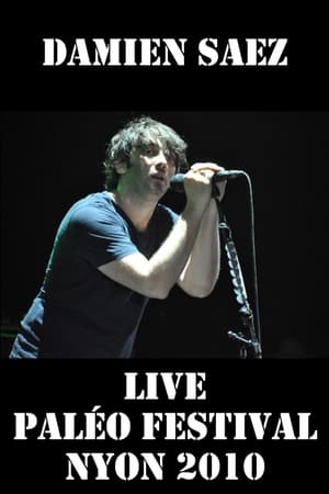 Damien Saez en live au Paléo Festival 2010