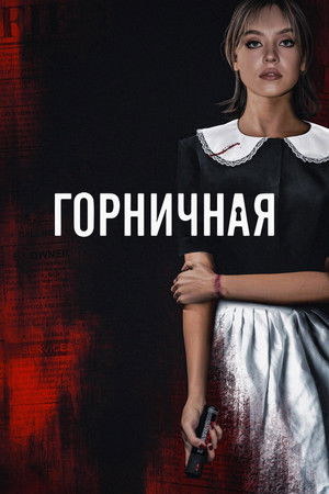 poster The Housemaid