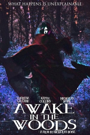 Poster Awake In The Woods (2015)