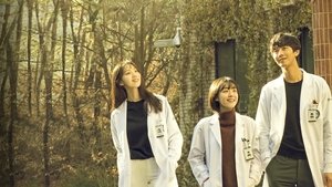 Dr. Romantic Season 2 (2020) Korean Drama