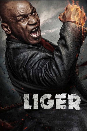 Liger 41