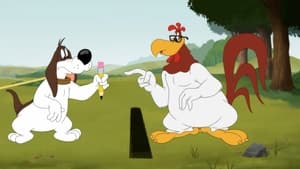 Looney Tunes Cartoons Erase the Leash