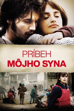 Poster Príbeh môjho syna 2012