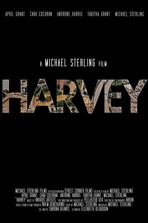 Poster Harvey (2018)