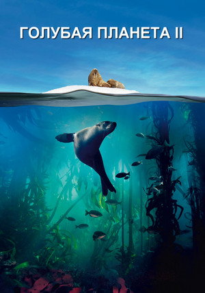 Blue Planet II 49