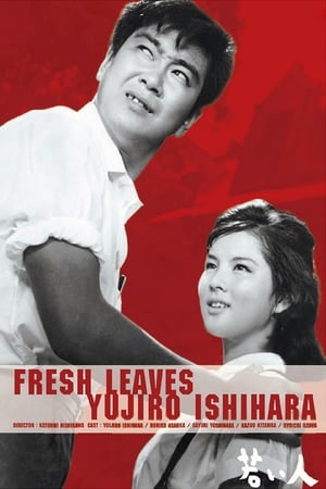 Poster 若い人 1962