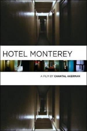 Hotel Monterey poster