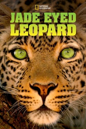 Poster Jade Eyed Leopard 2020