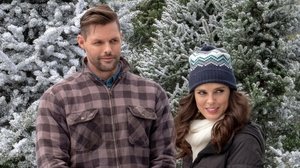 Last Vermont Christmas (2018), film online subtitrat în Română