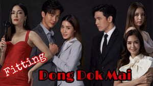 Dong Dok Mai (2022)