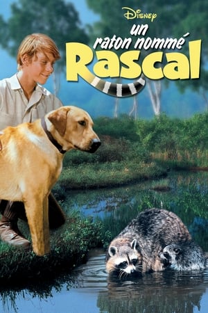 Un raton nommé rascal 1969