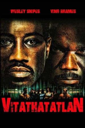 Poster Vitathatatlan 2002