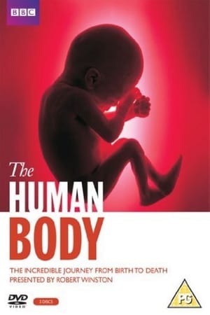 Poster The Human Body 1998