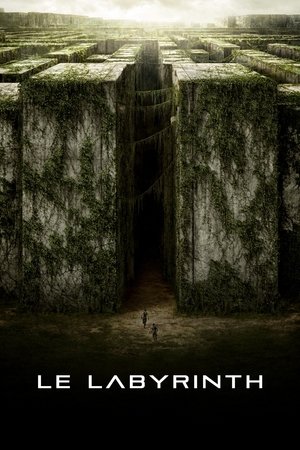 poster The Maze Runner