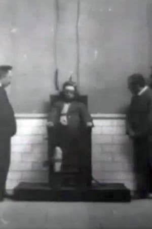 Execution of Czolgosz with Panorama of Auburn Prison film complet