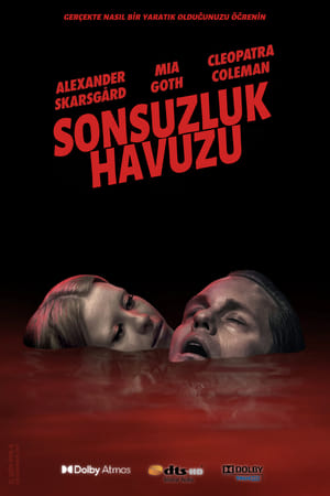 Sonsuzluk Havuzu