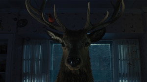 Images posters