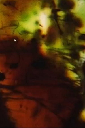 Eye Lands 5