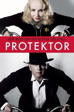 Poster The Protector 2009