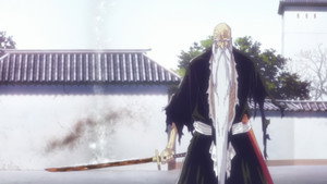 Bleach: 2×6