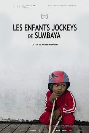 Image Les enfants jockeys de Sumbawa