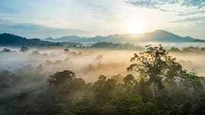 Eden: Untamed Planet Borneo: Sacred Forest