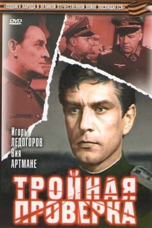 Тройная проверка poster