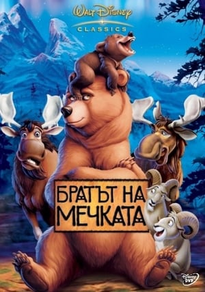 Poster Братът на мечката 2003