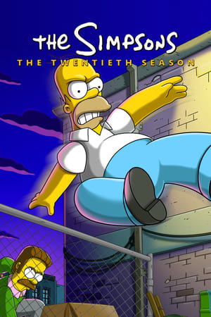 Os Simpsons: Temporadas 20