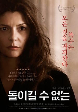 Poster 돌이킬 수 없는 2013